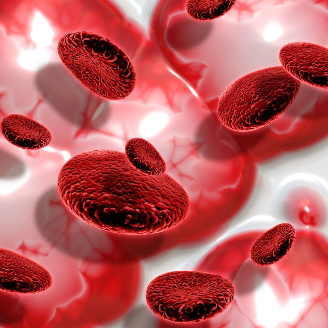 Blood Cancer: Types, Symptoms, Diagnosis and Treatment